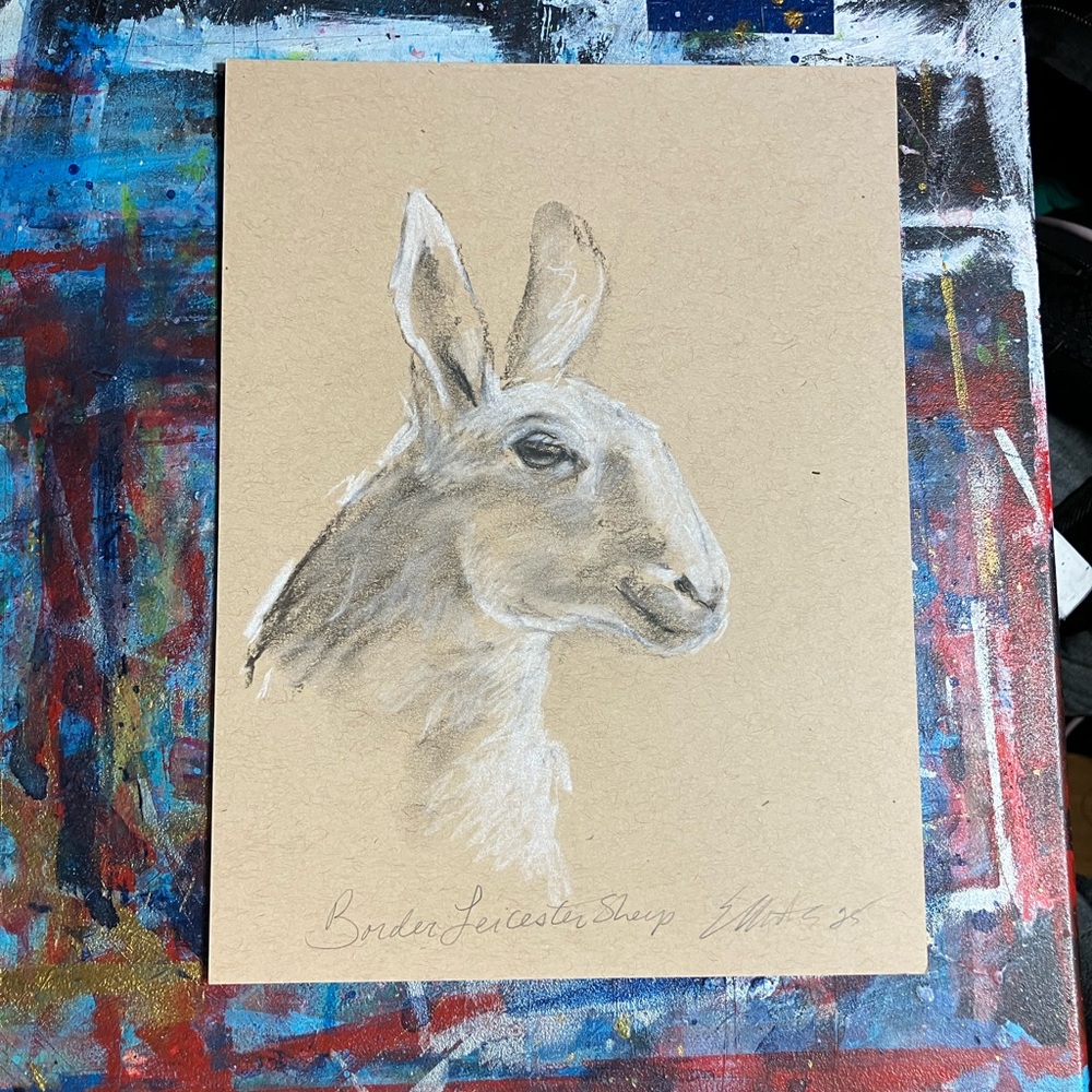 Original Border Leicestershire sheep charcoal pastel painting farm decor art